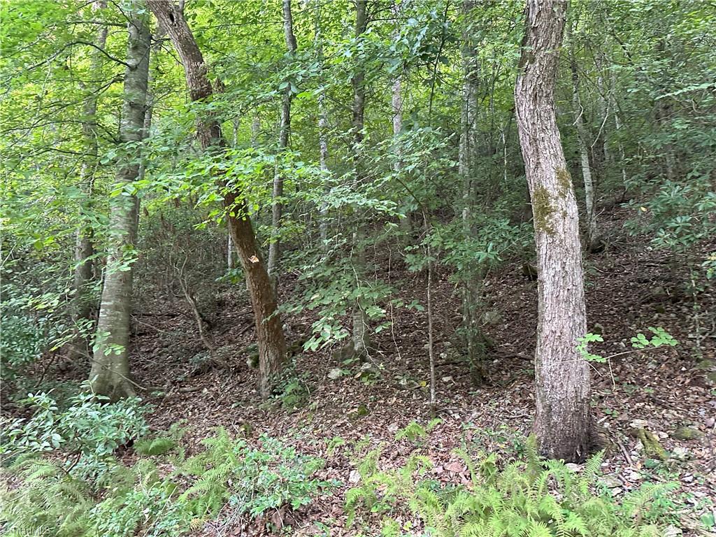 0 Mary Ann Road Walnut Cove, NC 27052 - Photo 17 of 17 Gallery Image 17