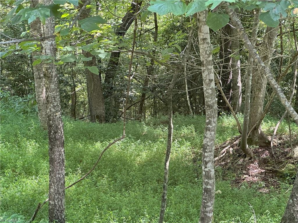 0 Mary Ann Road Walnut Cove, NC 27052 - Photo 2 of 17 property