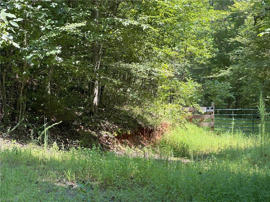 0 Mary Ann Road Walnut Cove, NC 27052 - Photo 3 of 17 Gallery Image 3