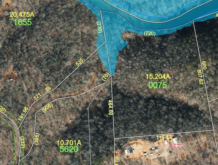 0 Mary Ann Road Walnut Cove, NC 27052 - Photo 6 of 17 Flood Map