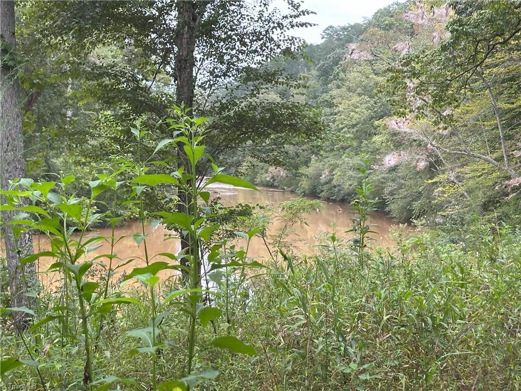 0 Mary Ann Road Walnut Cove, NC 27052 - Photo 10 of 17 Gallery Image 10