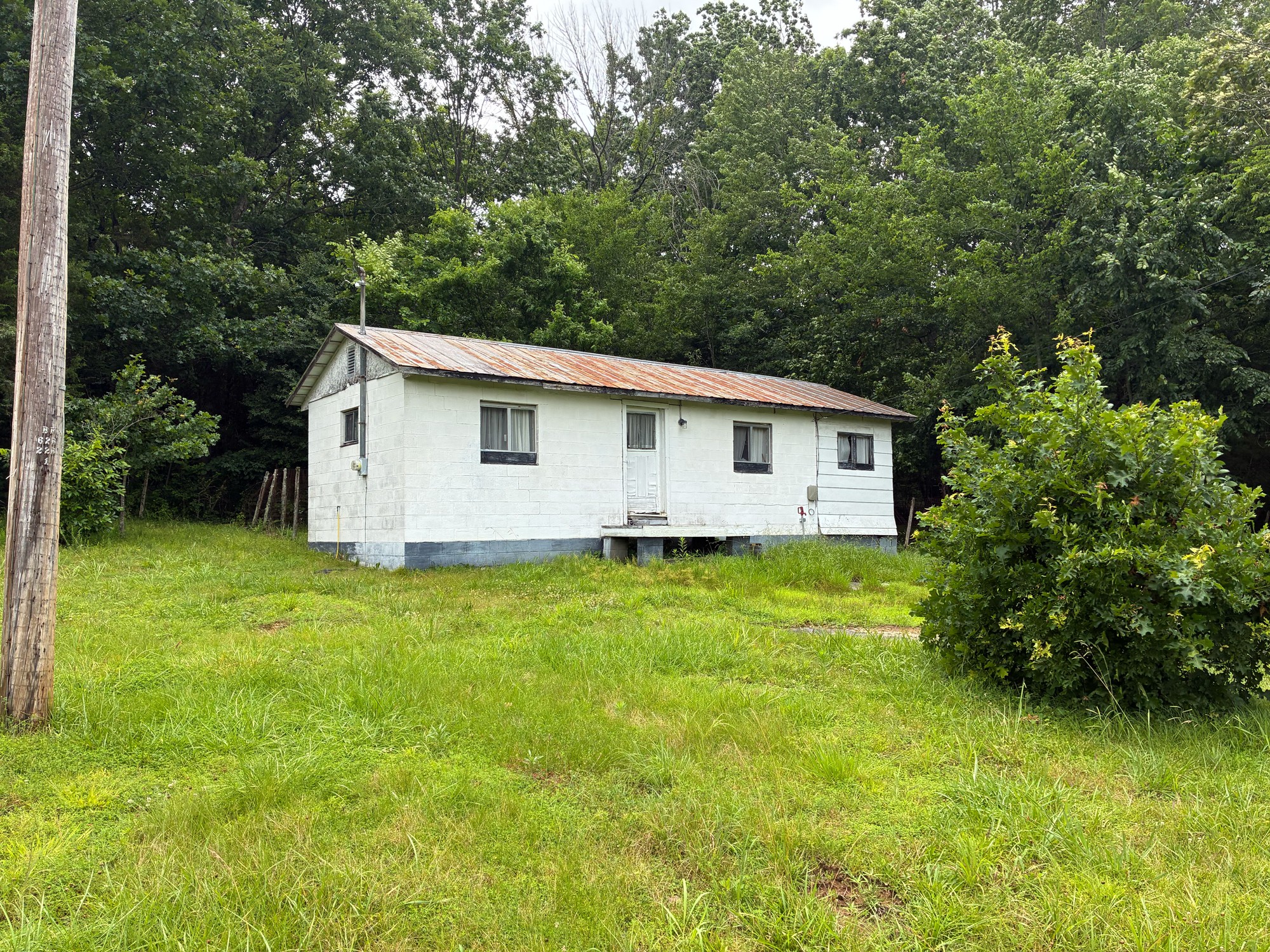 664 Reed Hollow Road Readyville, TN 37149 - Photo 3 of 4 a view of a backyard with plants and large trees
