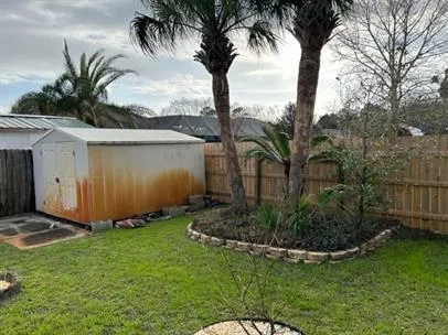 a view of a backyard with a potted plant
