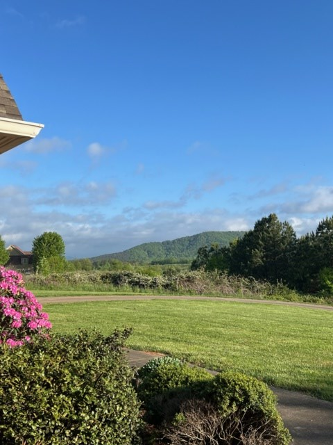 85 Ridgemont Lane Ellijay, GA 30536 - Photo 14 of 42 a view of a city with an ocean