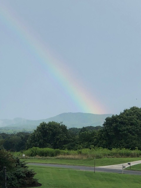 85 Ridgemont Lane Ellijay, GA 30536 - Photo 39 of 42 a view of a grassy field with trees