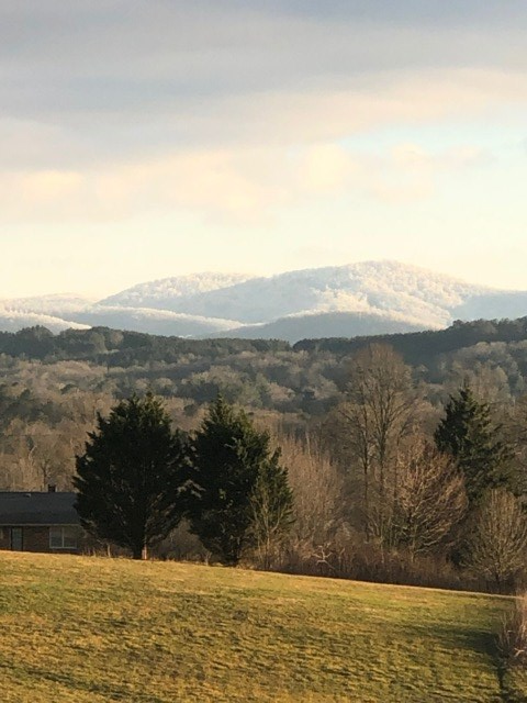 85 Ridgemont Lane Ellijay, GA 30536 - Photo 40 of 42