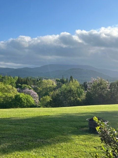 85 Ridgemont Lane Ellijay, GA 30536 - Photo 4 of 42 a view of a golf course with a lake