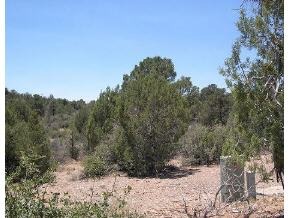 0 Williamson Valley Road Prescott, AZ 86305 - Photo 1 of 1 Primary Photo