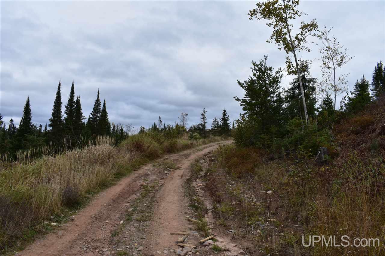 40-acres 40-acres Off Co Road Gwinn, MI 49841 - Photo 12 of 22