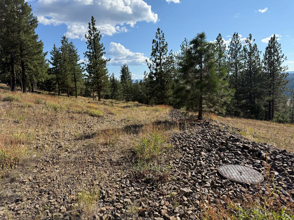 Lot 18 Harrington Place, Unit 18 McCall, ID 83638 - Photo 12 of 26