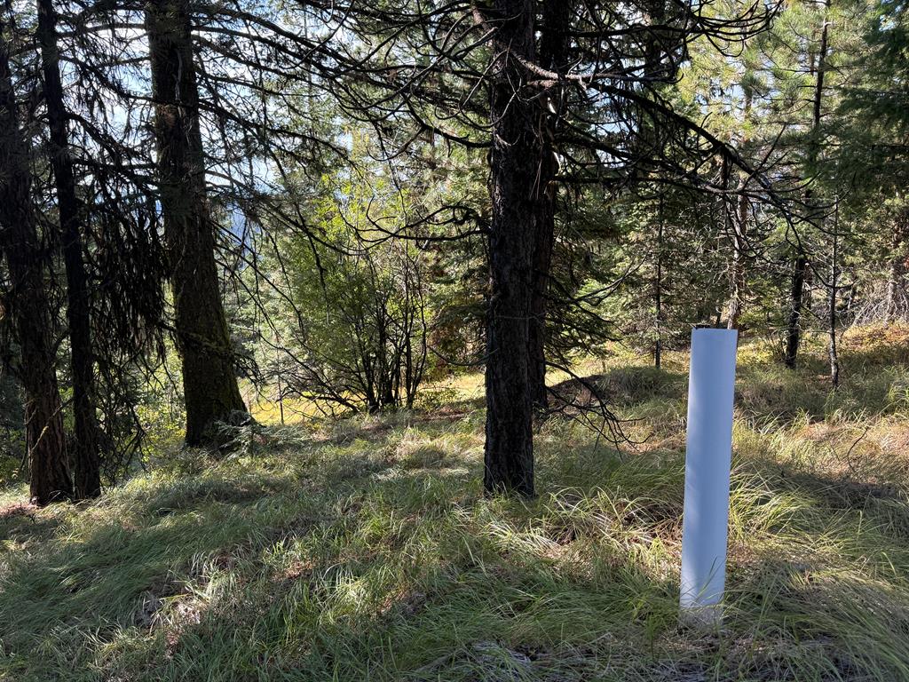 Lot 18 Harrington Place, Unit 18 McCall, ID 83638 - Photo 13 of 26