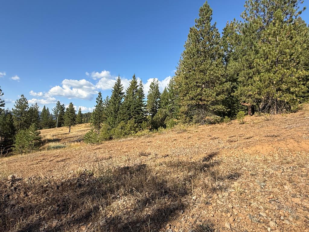 Lot 18 Harrington Place, Unit 18 McCall, ID 83638 - Photo 14 of 26