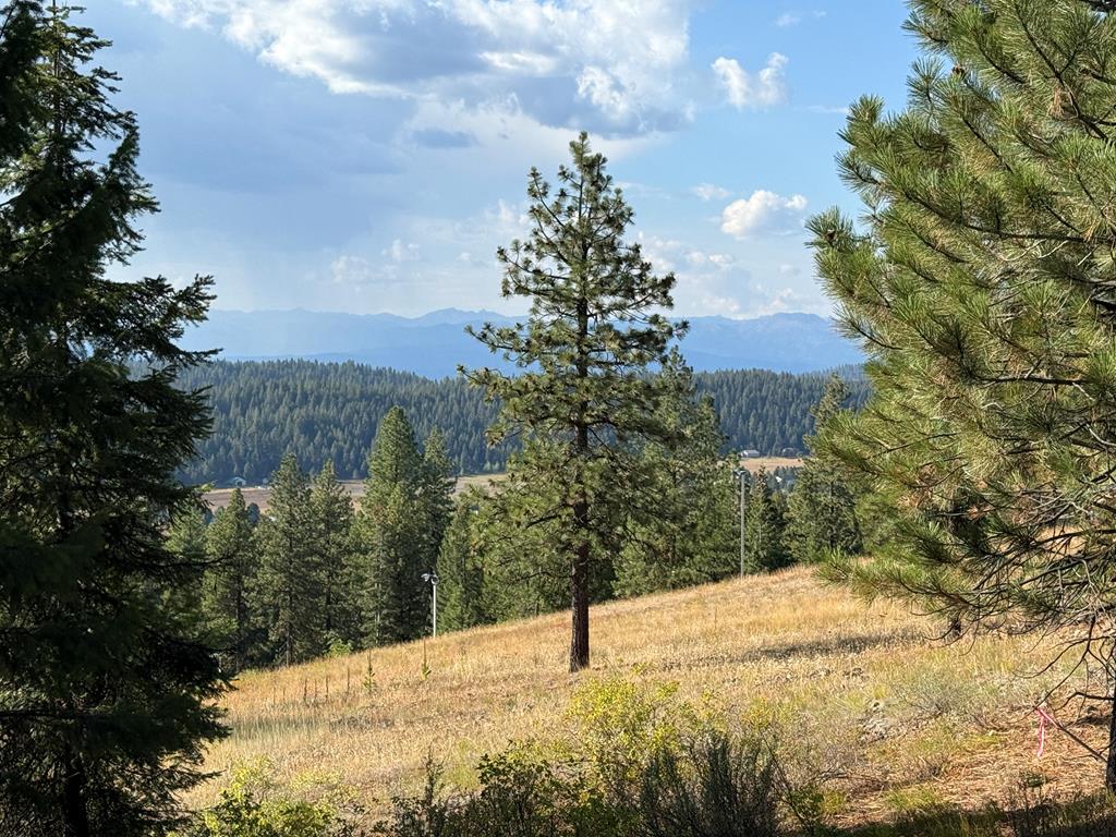 Lot 18 Harrington Place, Unit 18 McCall, ID 83638 - Photo 15 of 26