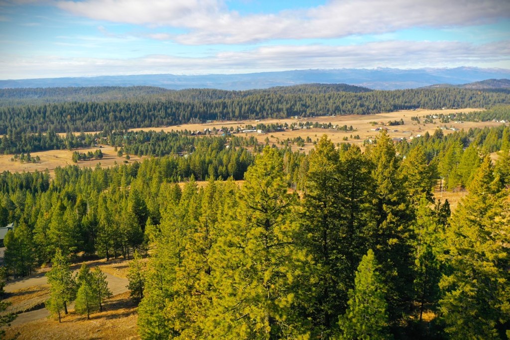 Lot 18 Harrington Place, Unit 18 McCall, ID 83638 - Photo 20 of 26