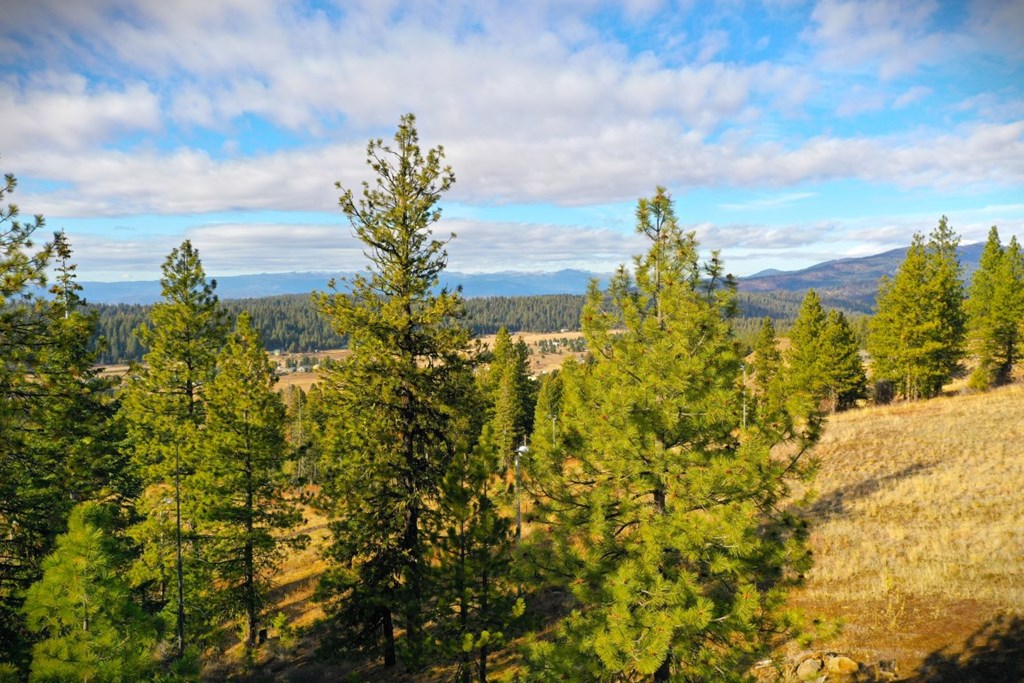 Lot 18 Harrington Place, Unit 18 McCall, ID 83638 - Photo 21 of 26