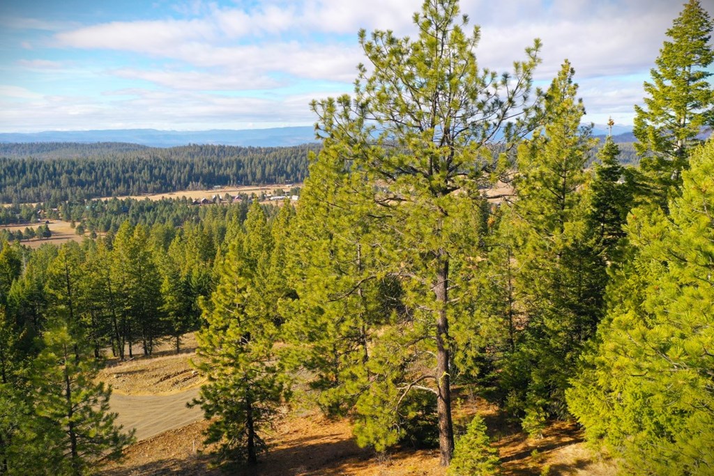 Lot 18 Harrington Place, Unit 18 McCall, ID 83638 - Photo 24 of 26