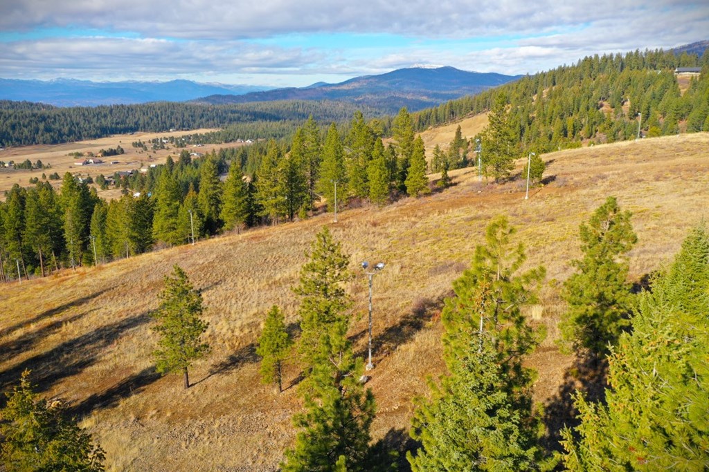 Lot 18 Harrington Place, Unit 18 McCall, ID 83638 - Photo 25 of 26