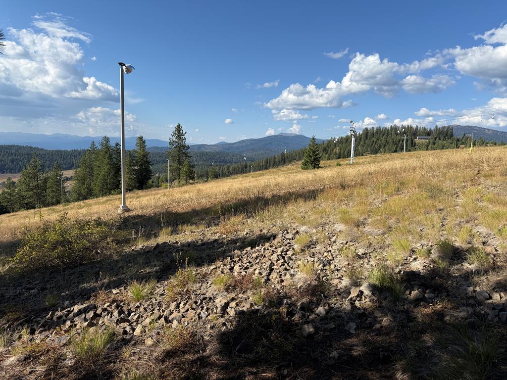 Lot 18 Harrington Place, Unit 18 McCall, ID 83638 - Photo 4 of 26