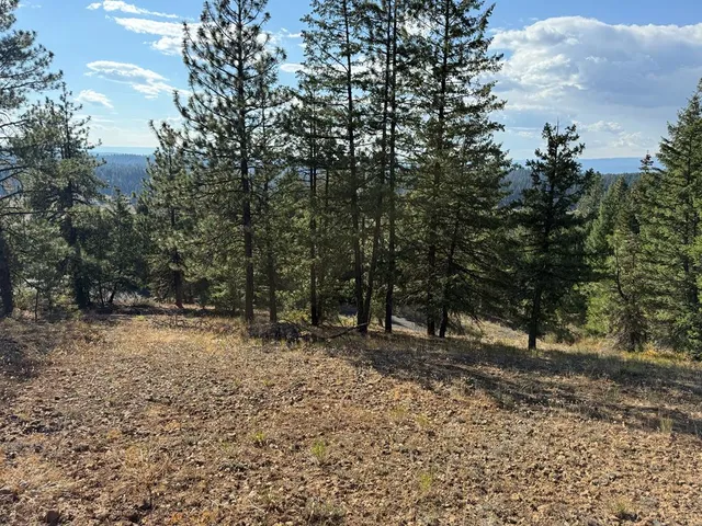 $299,000 | Lot 18 Harrington Place, Unit 18, McCall, ID 83638