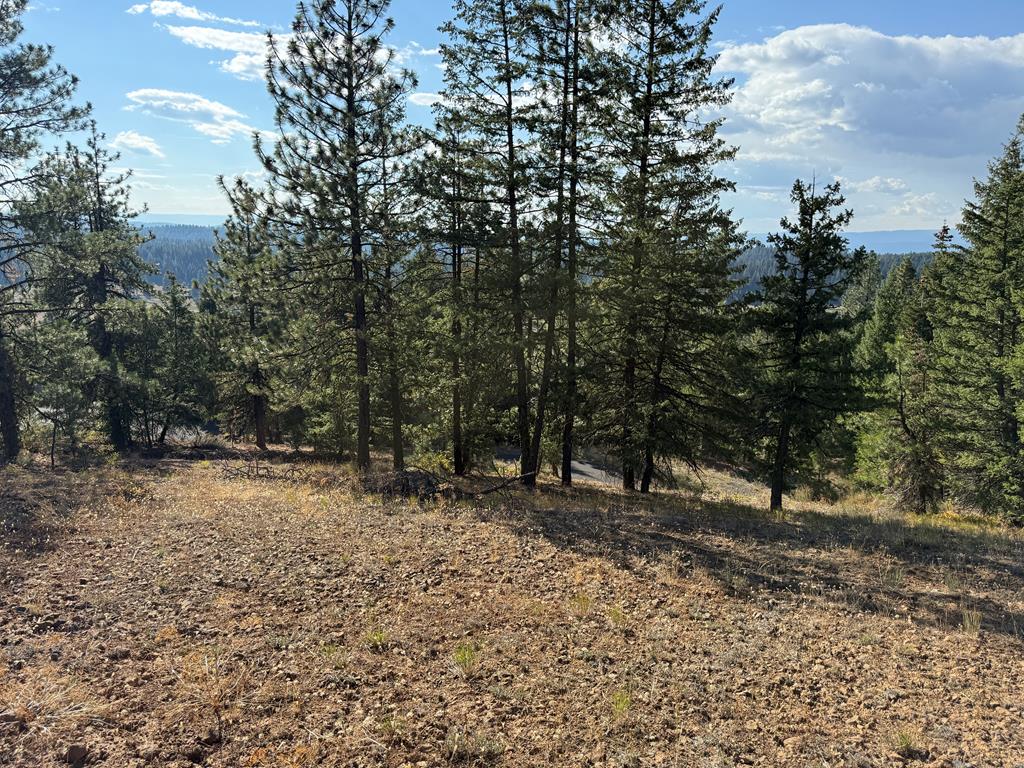 Lot 18 Harrington Place, Unit 18 McCall, ID 83638 - Photo 7 of 26