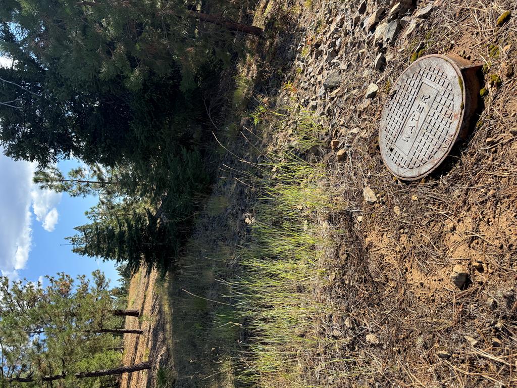 Lot 18 Harrington Place, Unit 18 McCall, ID 83638 - Photo 9 of 26