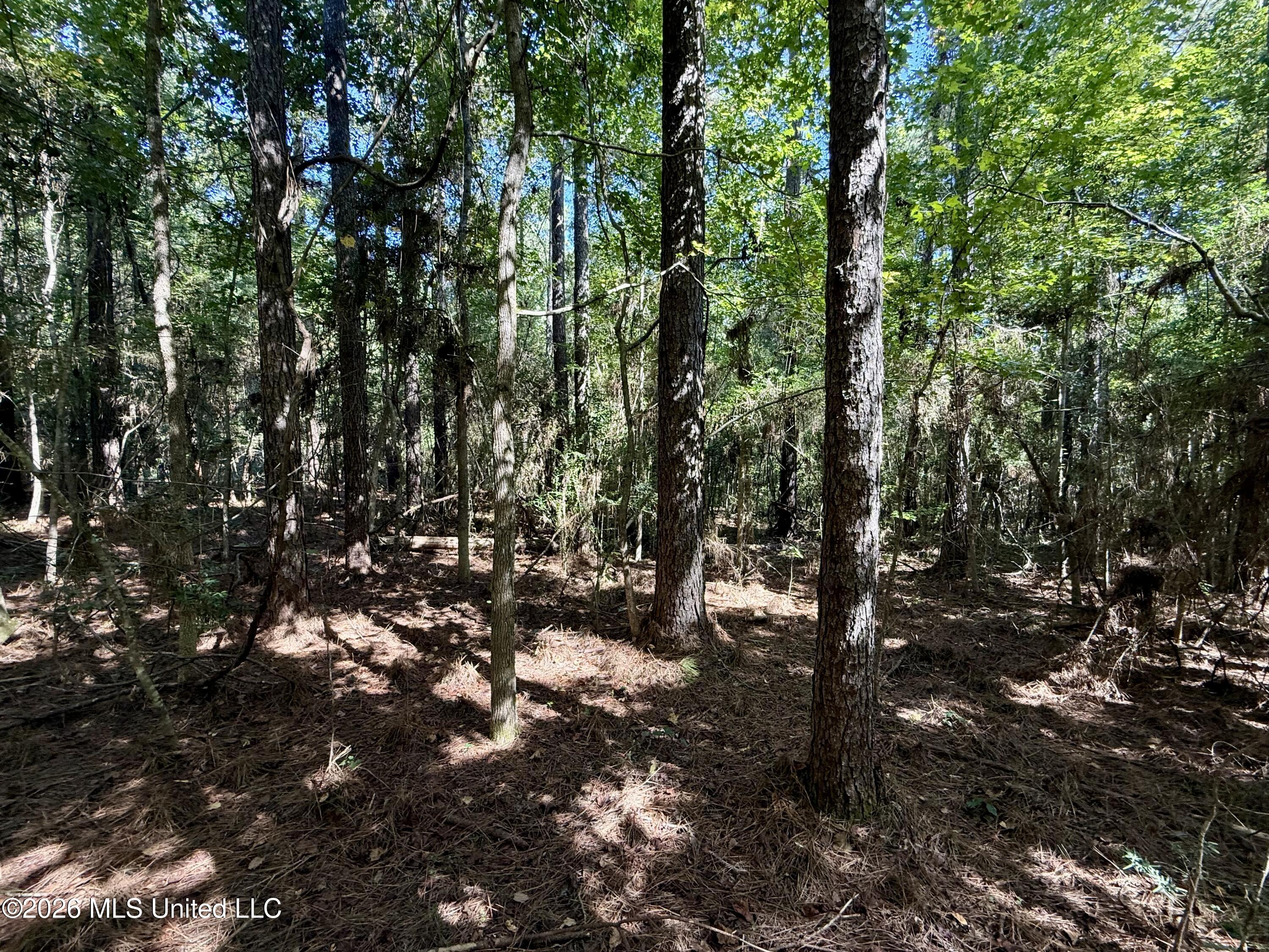 Burt Jordan Road Smithdale, MS 39664 - Photo 12 of 21 IMG_9386
