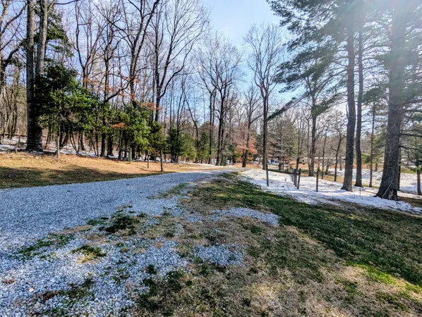 $699,000 | 446 Good Neighbors Road Northeast, Check, VA 24072