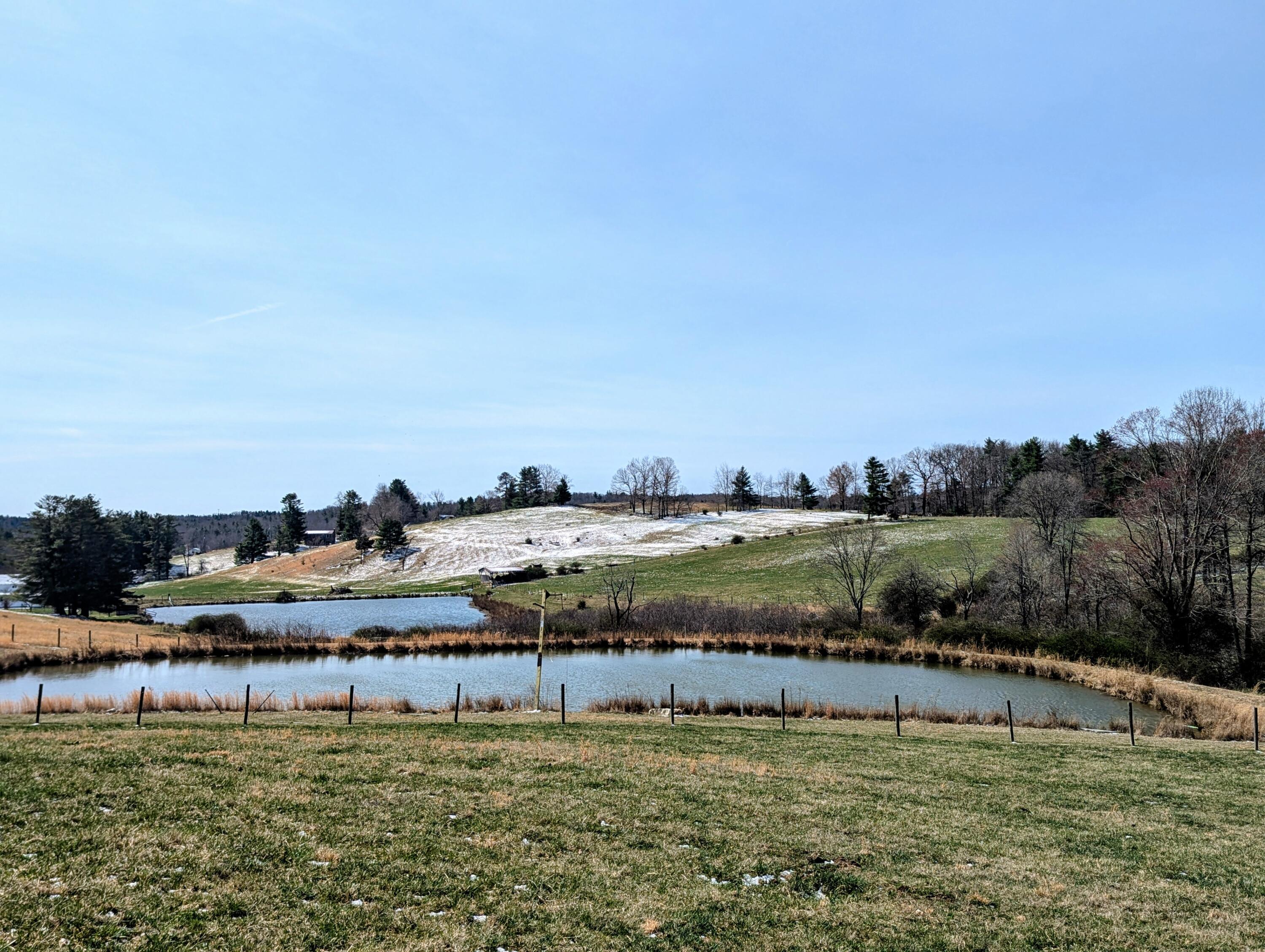 446 Good Neighbors Road Northeast Check, VA 24072 - Photo 39 of 93 1 (52)