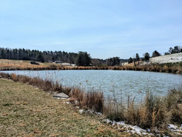 $699,000 | 446 Good Neighbors Road Northeast, Check, VA 24072