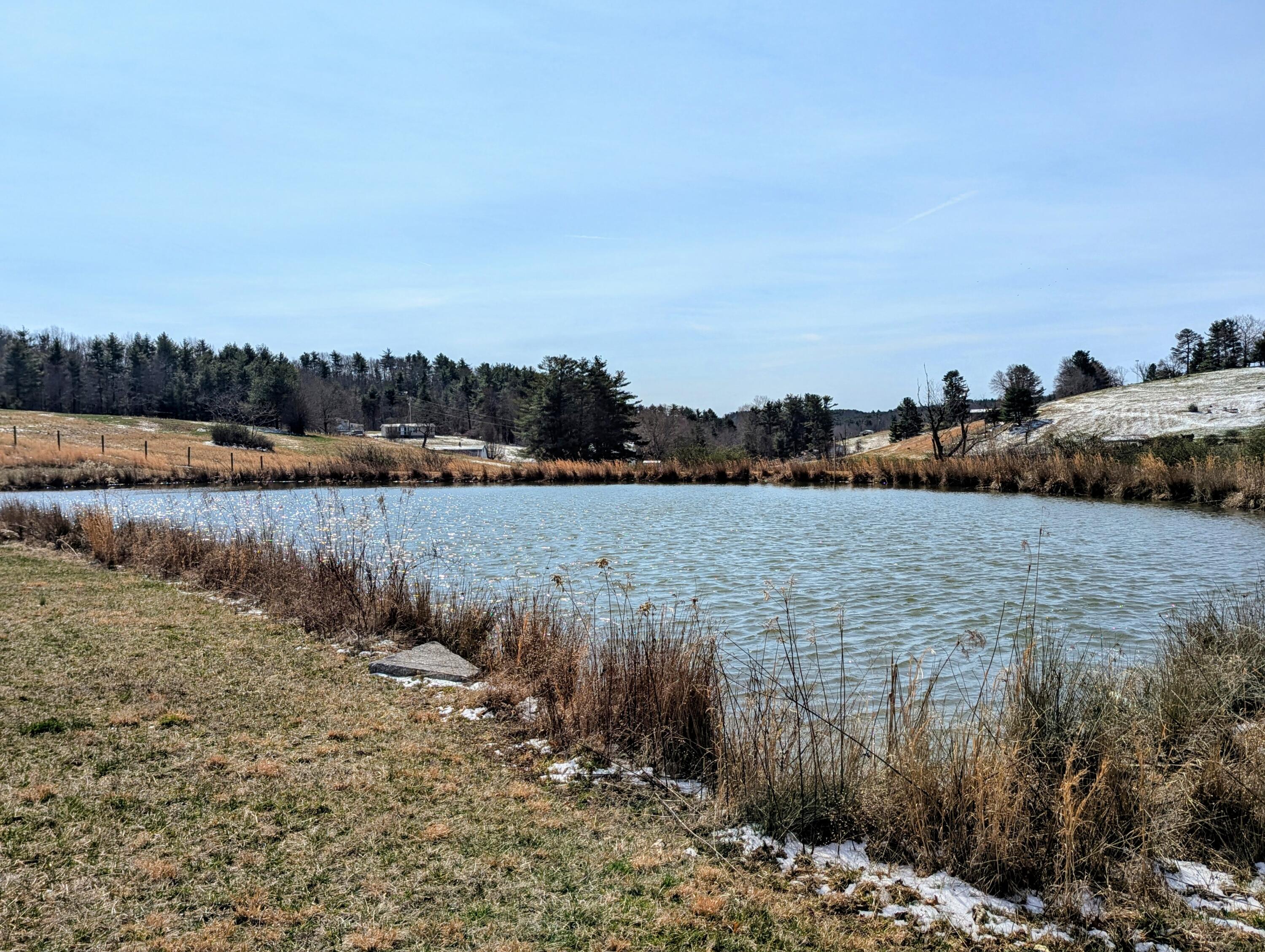 446 Good Neighbors Road Northeast Check, VA 24072 - Photo 40 of 93 1 (53)