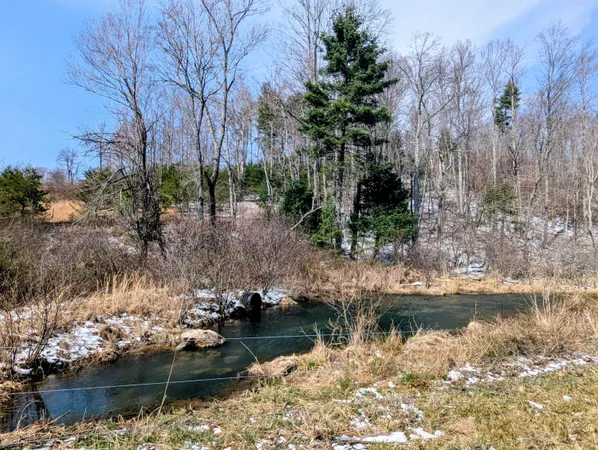 $699,000 | 446 Good Neighbors Road Northeast, Check, VA 24072