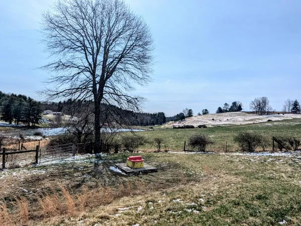 $699,000 | 446 Good Neighbors Road Northeast, Check, VA 24072