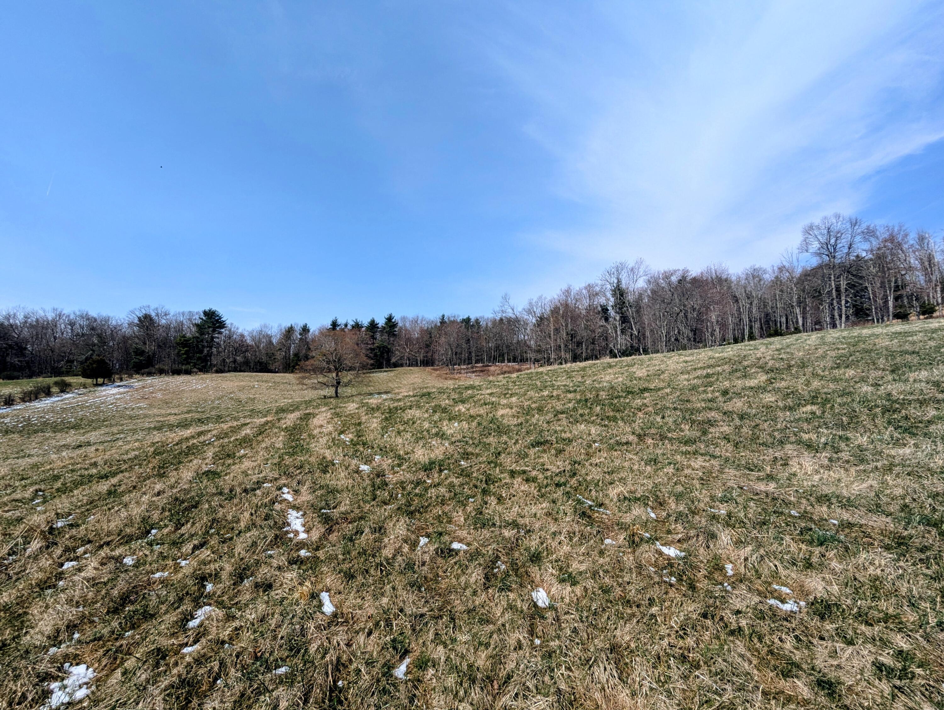 446 Good Neighbors Road Northeast Check, VA 24072 - Photo 43 of 93 1 (56)