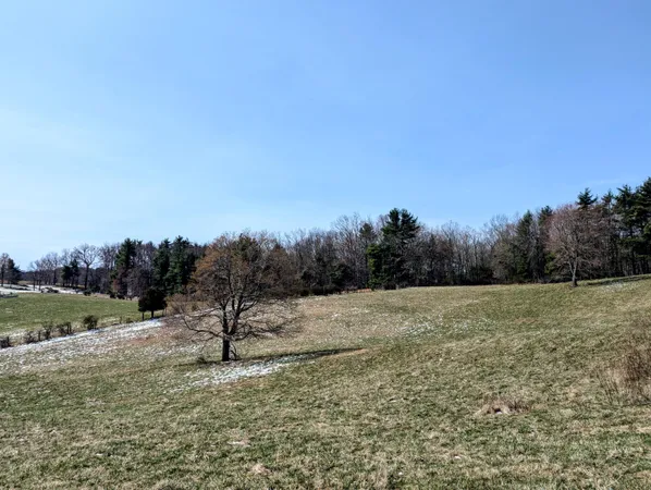 $699,000 | 446 Good Neighbors Road Northeast, Check, VA 24072