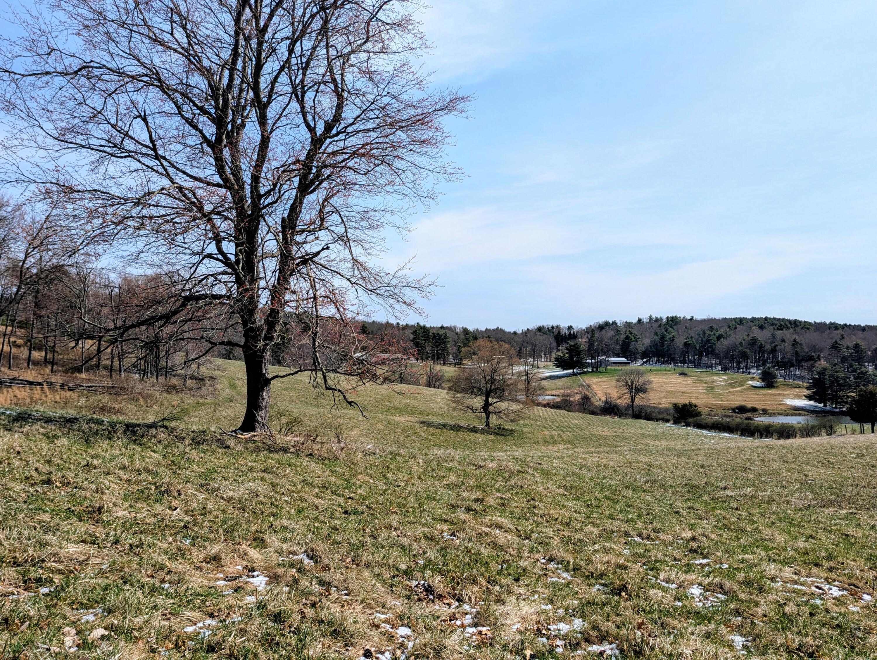 446 Good Neighbors Road Northeast Check, VA 24072 - Photo 47 of 93 1 (60)