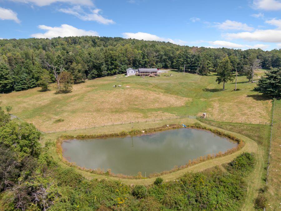 446 Good Neighbors Road Northeast Check, VA 24072 - Photo 67 of 93 Pond 2