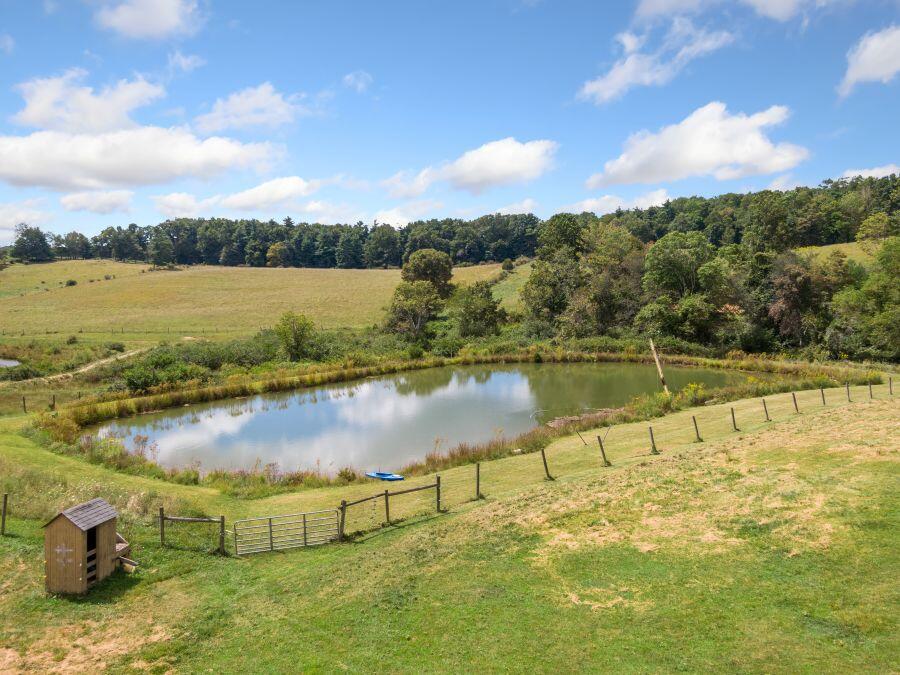 446 Good Neighbors Road Northeast Check, VA 24072 - Photo 68 of 93 Pond