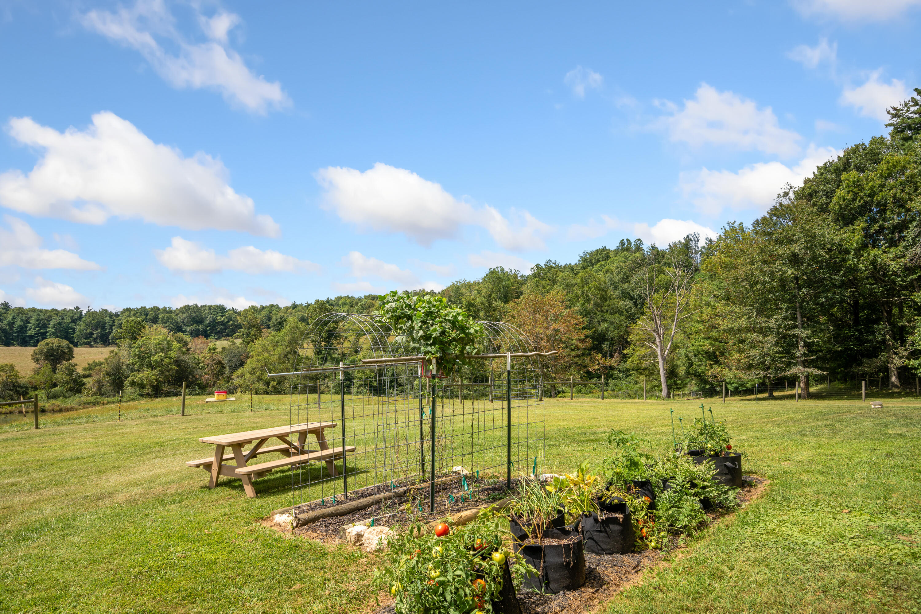 446 Good Neighbors Road Northeast Check, VA 24072 - Photo 75 of 93 Yard