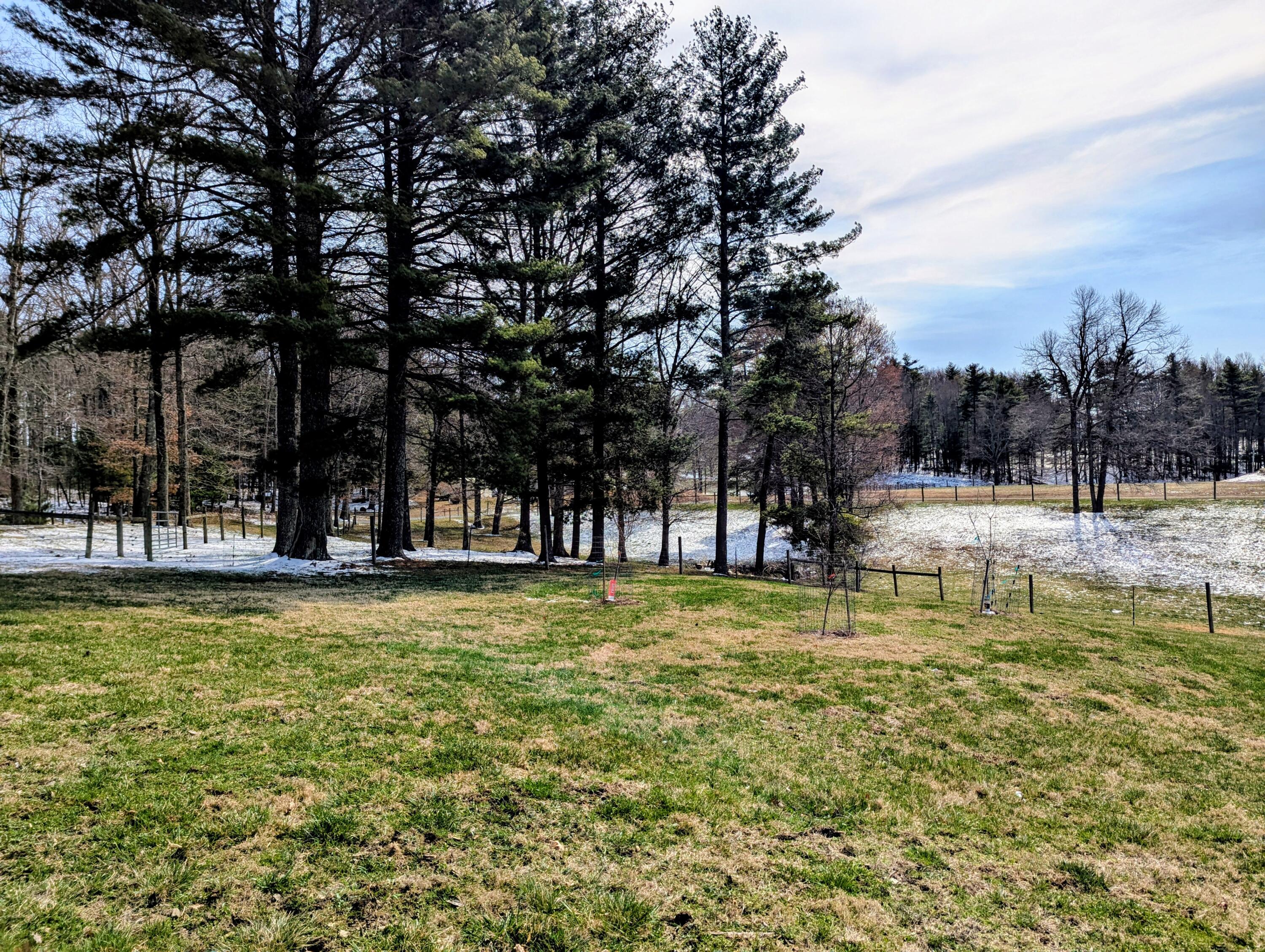 446 Good Neighbors Road Northeast Check, VA 24072 - Photo 88 of 93 1 (16)