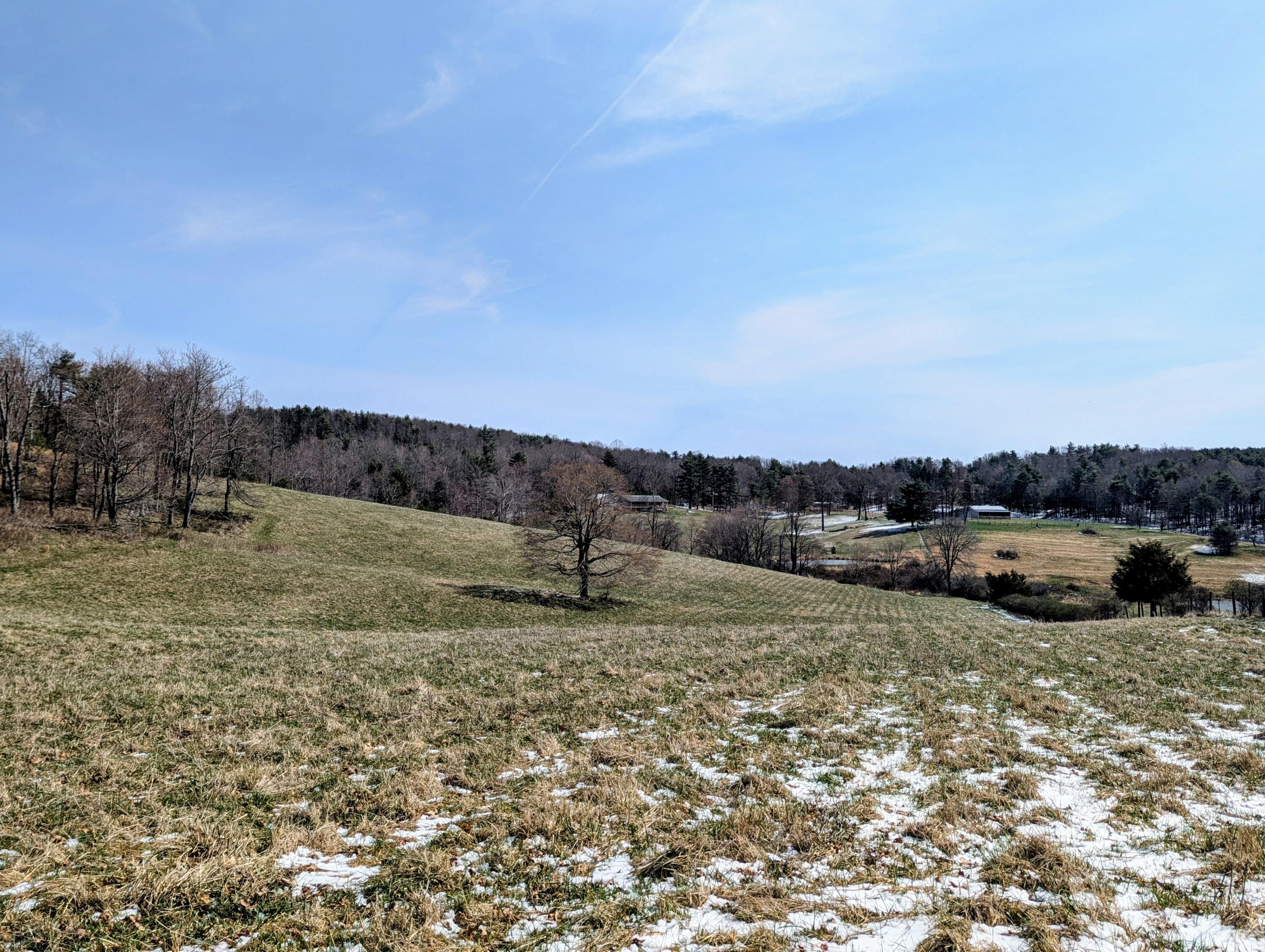 446 Good Neighbors Road Northeast Check, VA 24072 - Photo 91 of 93 1 (1)