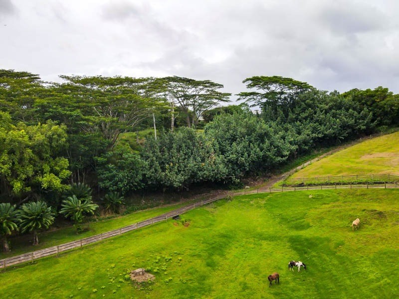 37 Omao Road Koloa, HI 96756 - Photo 17 of 29