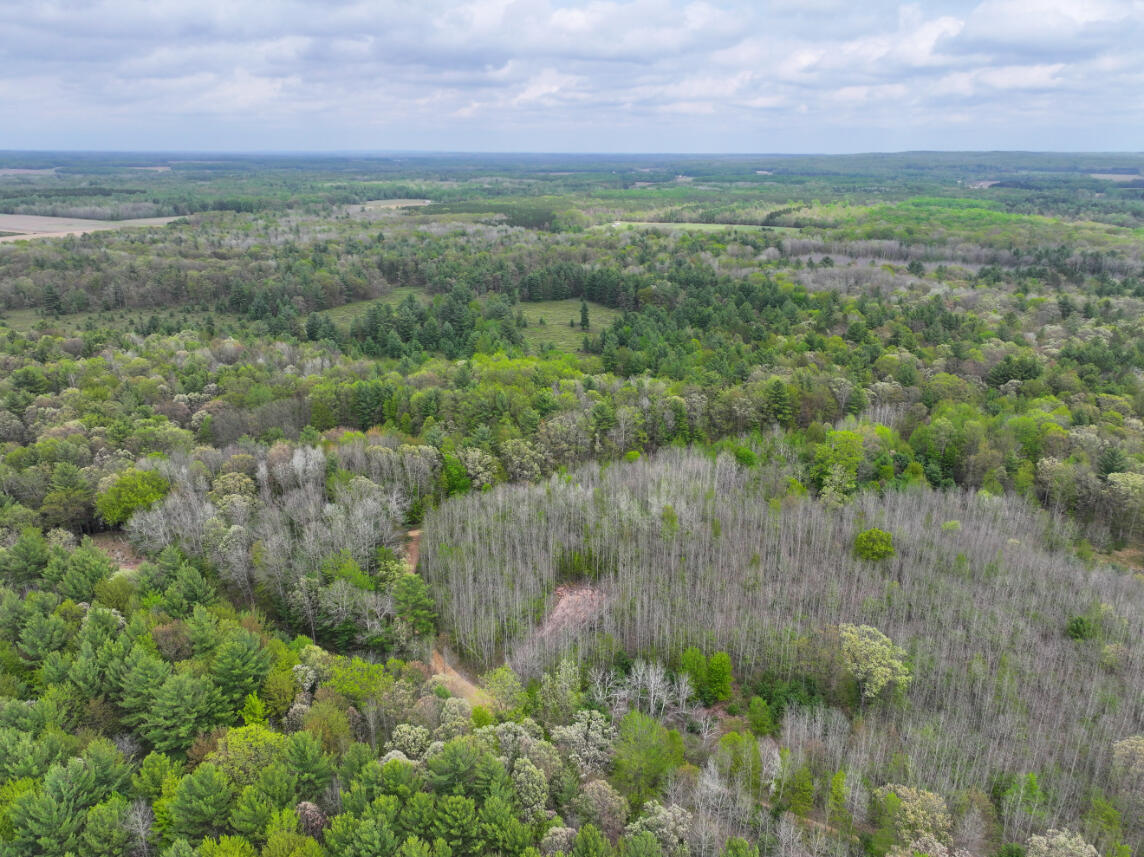 6.62 West Jefferson Road Pentwater, MI 49449 - Photo 9 of 21 DJI_20260512151554_0563_D