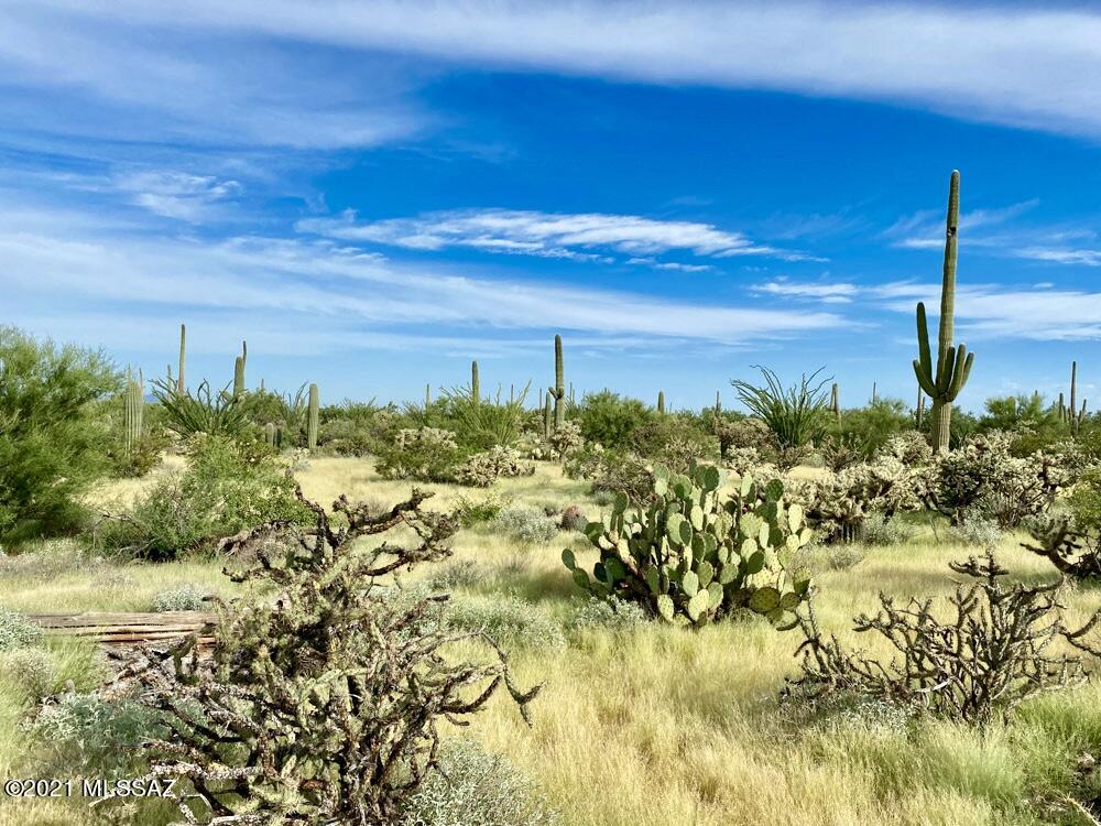 0 North Sandario Road, Unit 3 Tucson, AZ 85743 - Photo 6 of 24