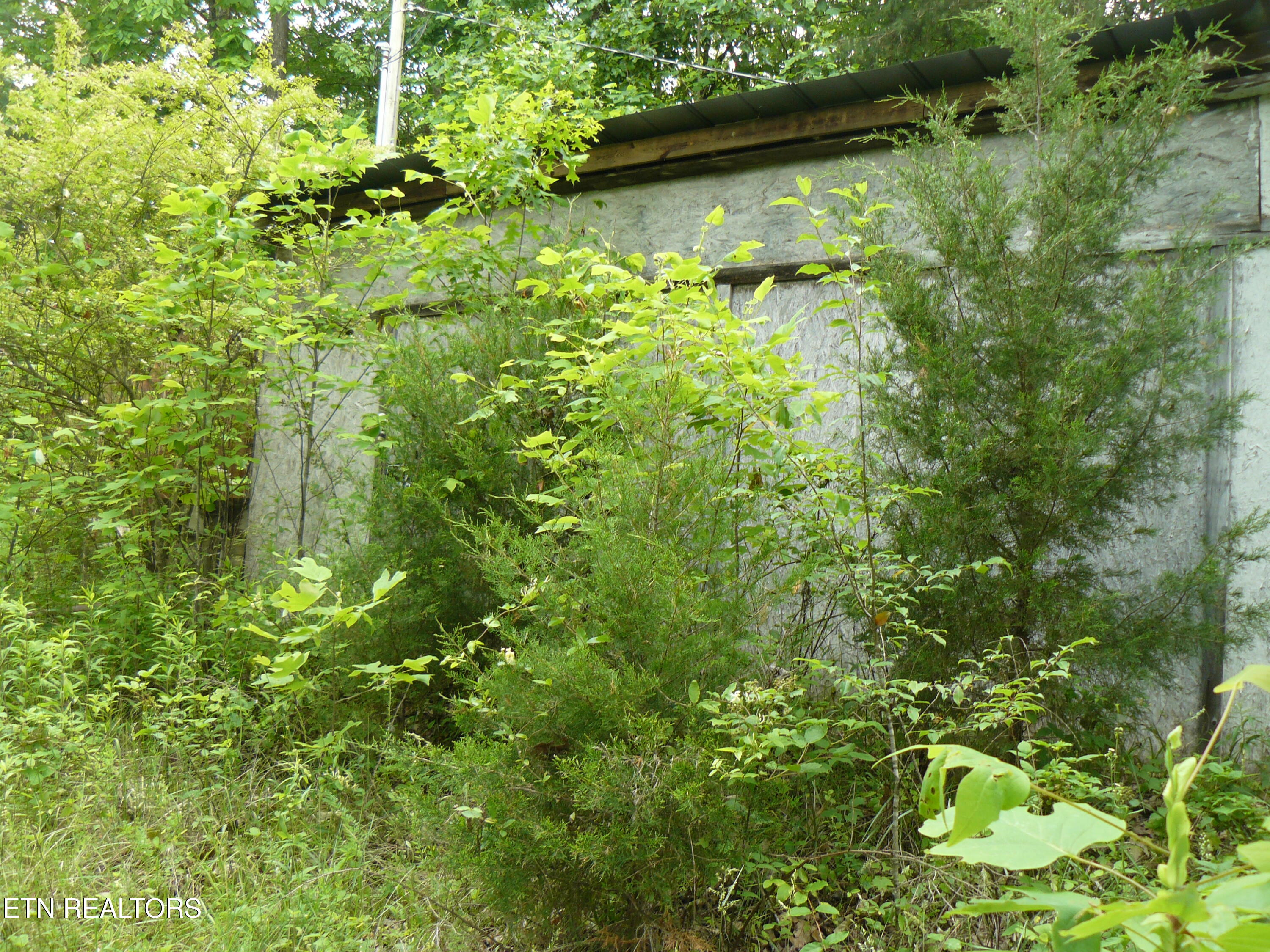P1430283