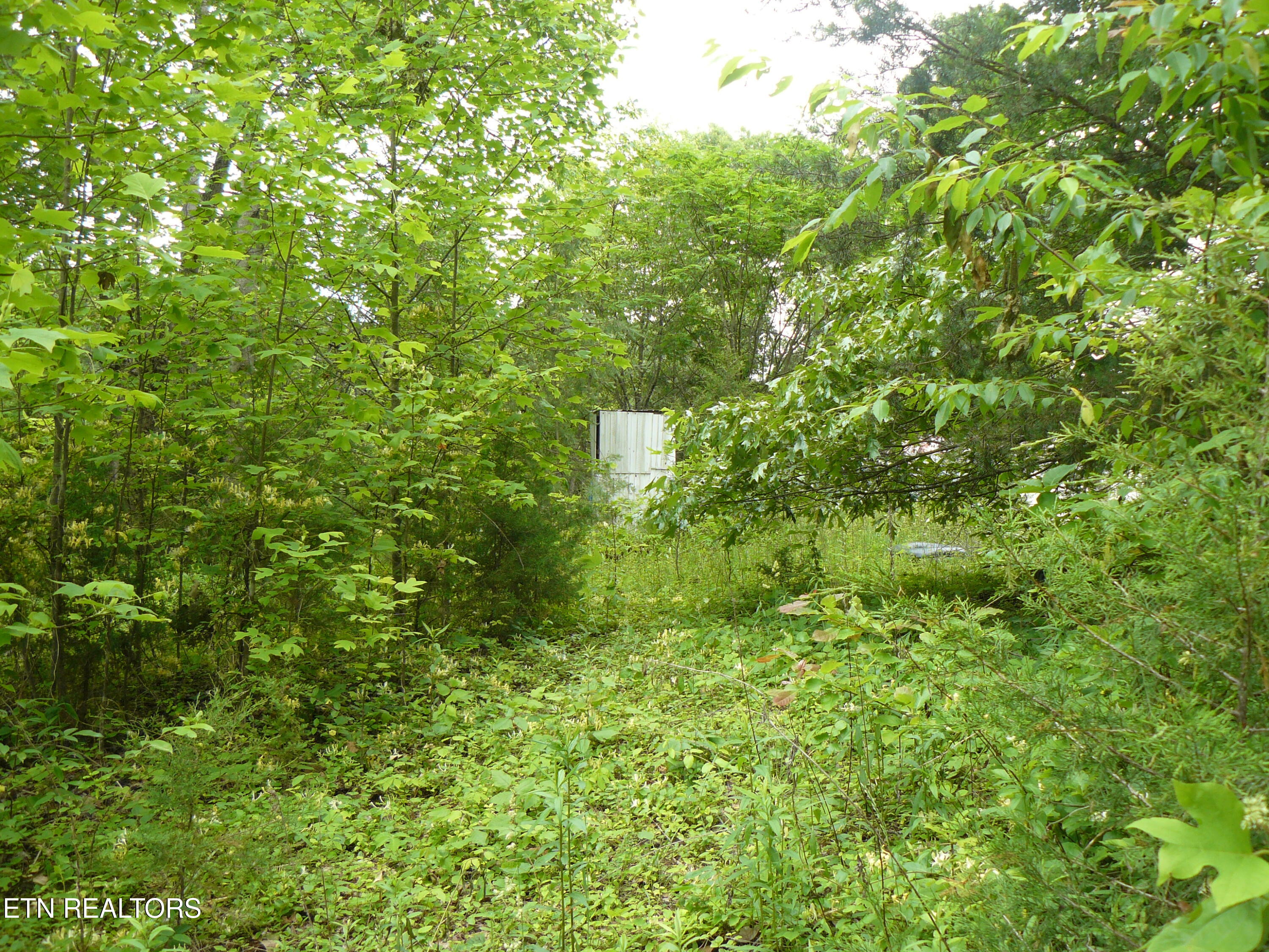 154 Beamer Road Tazewell, TN 37879 - Photo 8 of 11 P1430287