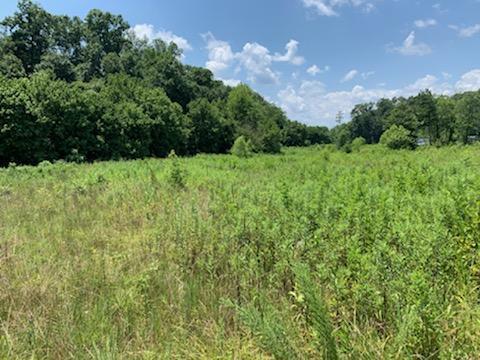 15-acres Strawhill Road Southeast Cleveland, TN 37323 - Photo 1 of 5 IMG9544591