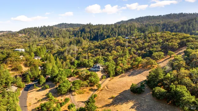 a view of mountain with trees