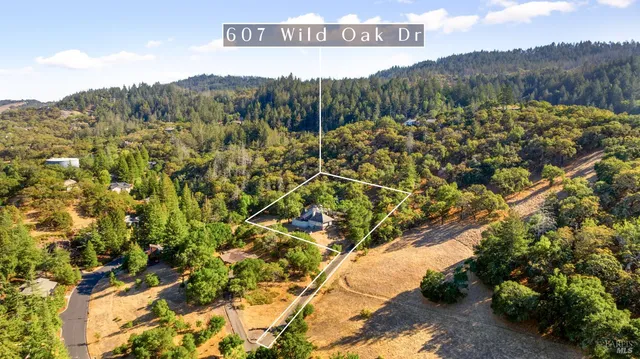 a view of a field with a tree in the background
