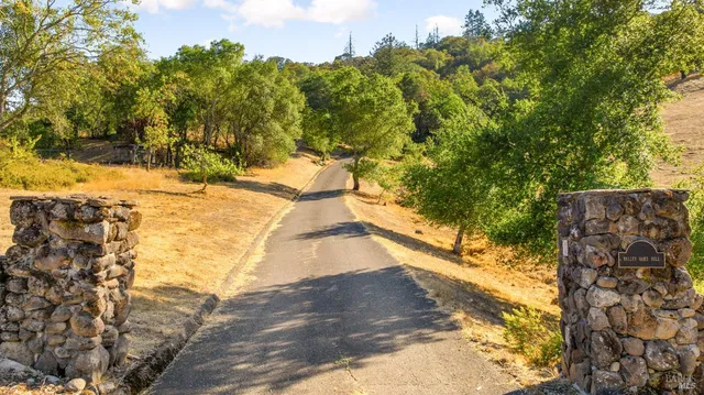 a view of a yard with trees