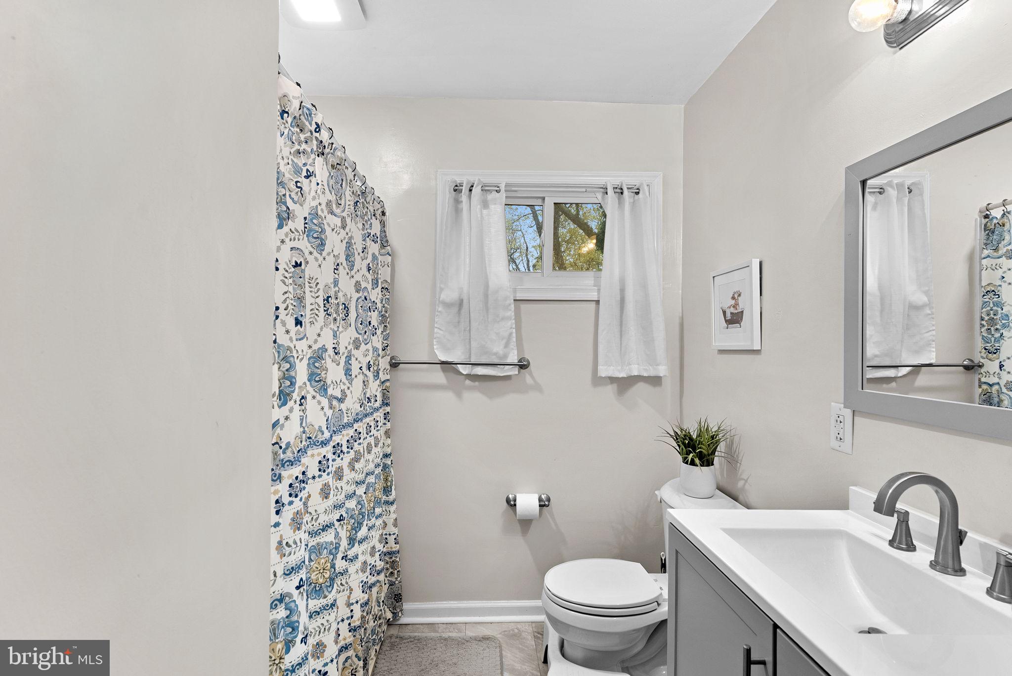 219 Josephine Street Berryville, VA 22611 - Photo 16 of 26 a bathroom with a sink toilet and shower